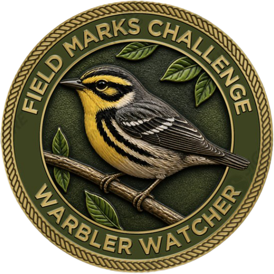 Warbler Watcher Challenge